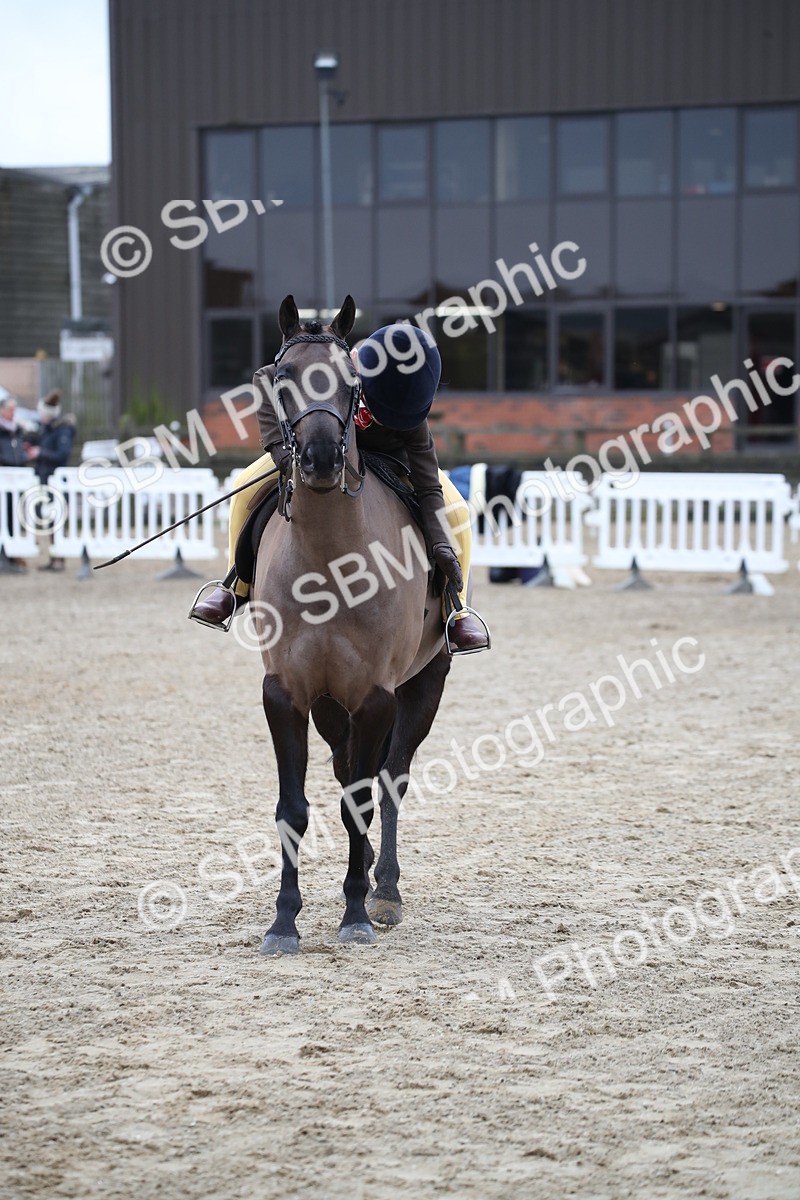 SBM_004669 - Class 5-9 - NPS In Hand-Show Hunter-Intermediate Ridden Inc Ridden Championship