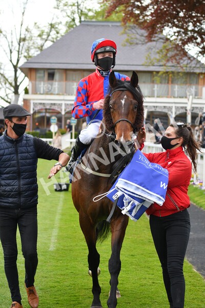 yr14052021r6-28 - Race 6 4.15pm Yorkshire Equine Practice Stakes