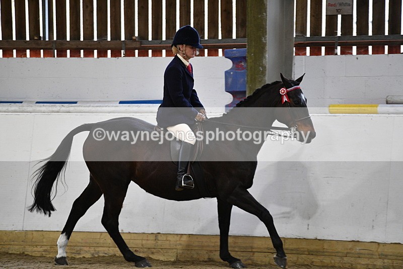 WJ5_7860 - Class 13 Ridden Part Breed