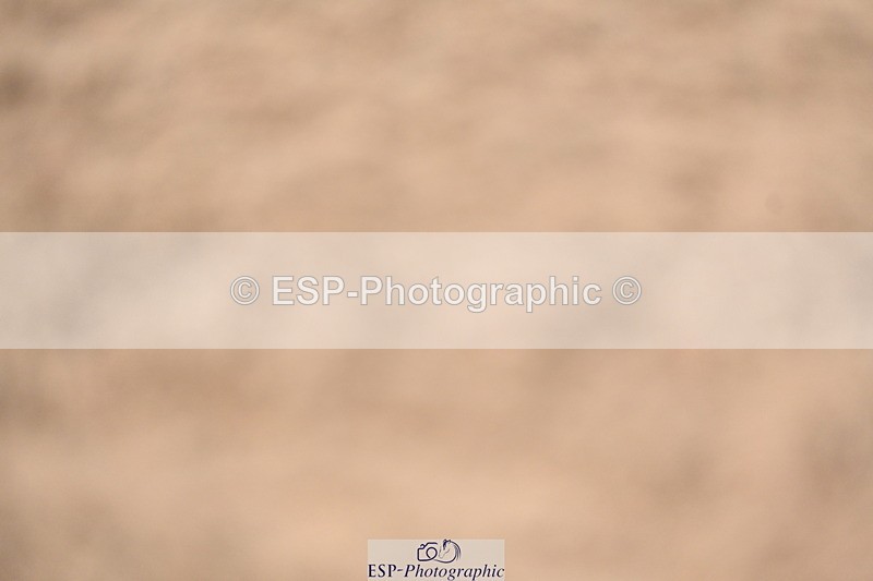 240323A-130820-03026 - DR Novice 34