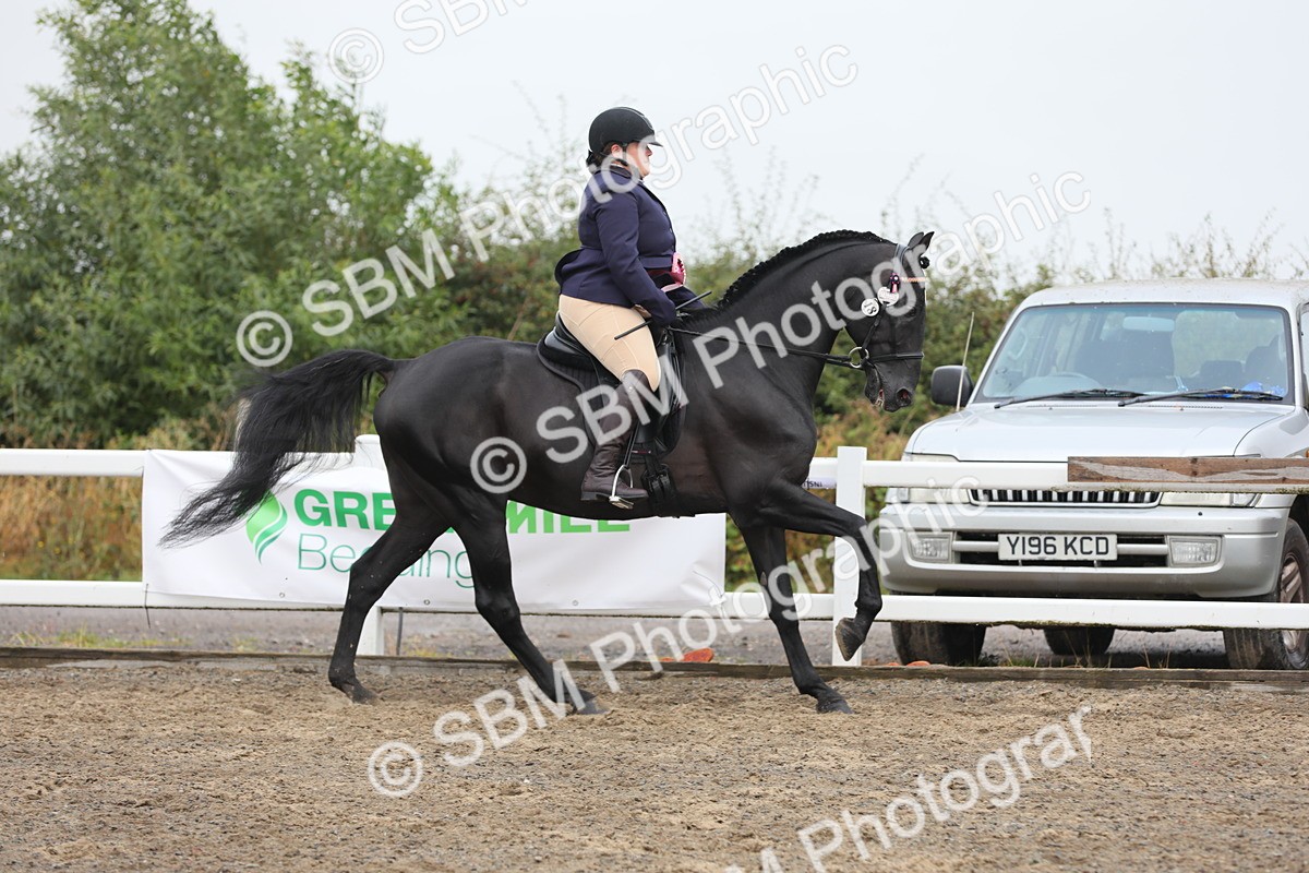 SBM_21435 - Class 805 - Ridden Veteran Horse