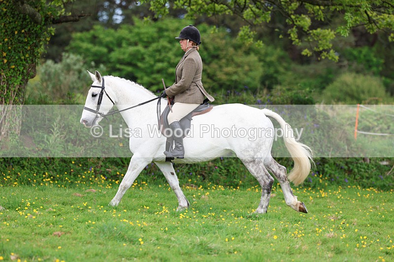 3E7A1181 - Class 7: Ridden Hunter Type