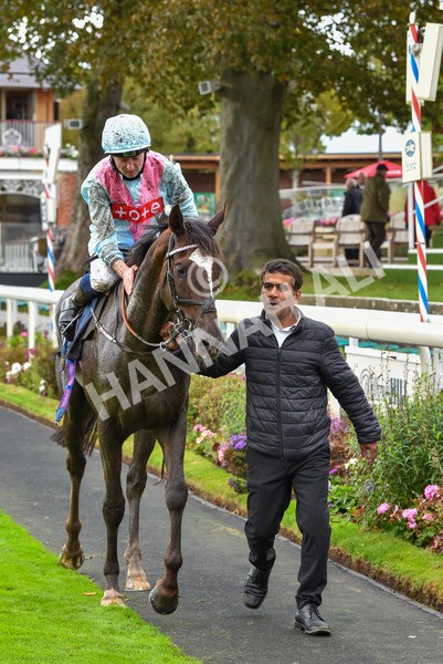 131023-Race 2-Lordship-9236 - Race 2 2.40pm William Hill Finale Handicap