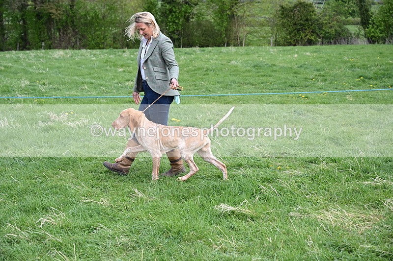 WJ6_8088 - Class 2 Best Pedigree