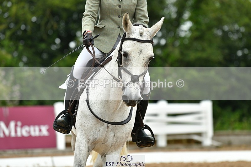 230708A-104436-02387 - Prelim 13