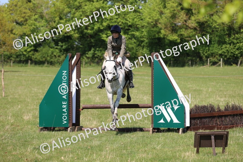 20250427-2600 - Class 20 - Working Hunter Ponies
