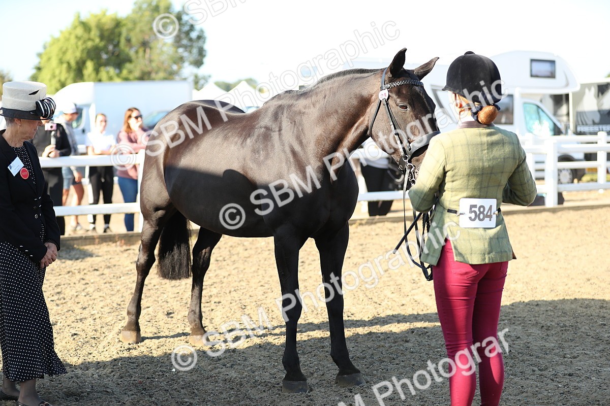 SBM_00042 - Class 40 Best Turned Out IH