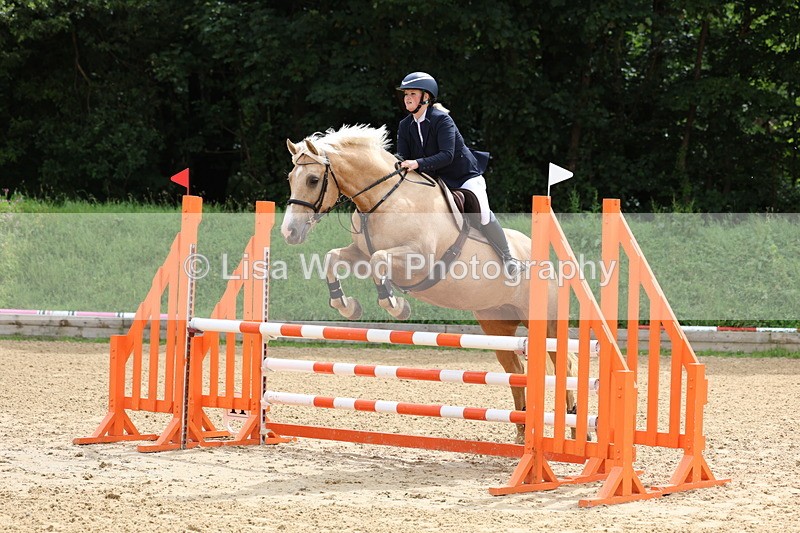 3E7A6019 - Class 4: Senior British Novice/90cm open