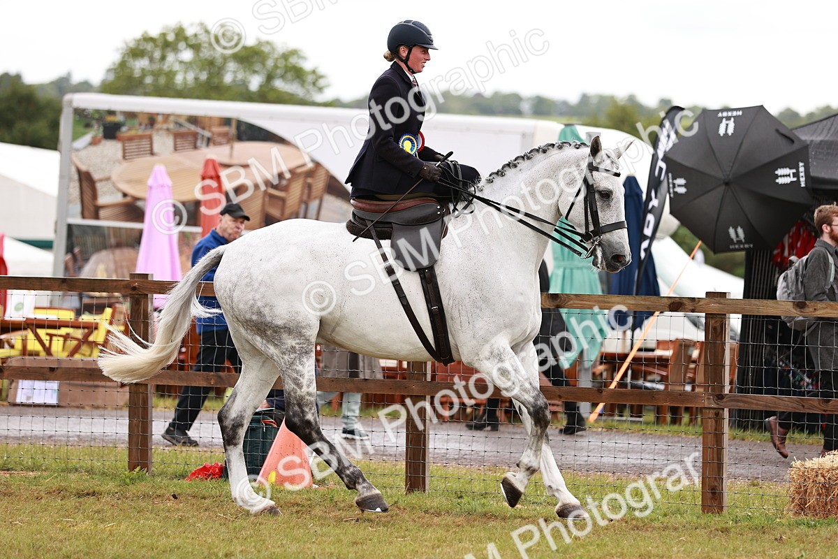 SBM_11014 - Class 81-84 - RIHS Ridden hunters Inc Ladies Hunter