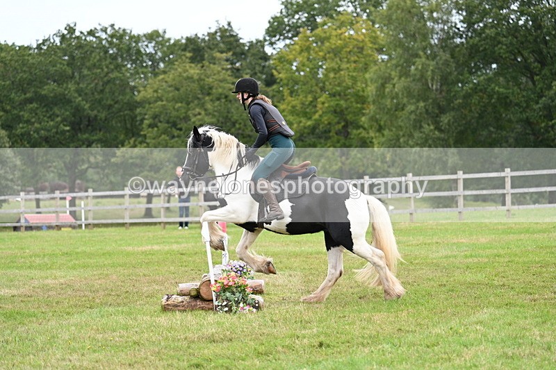 WJ7_7762 - 40cm Time 10:49 to 11:18