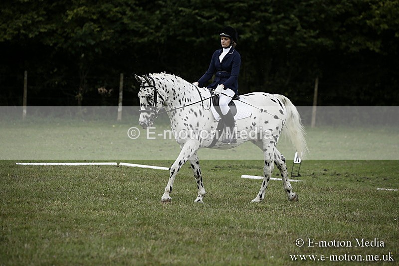 BVR080918 118 - BVRC Novice Dressage & CR 08/09/18