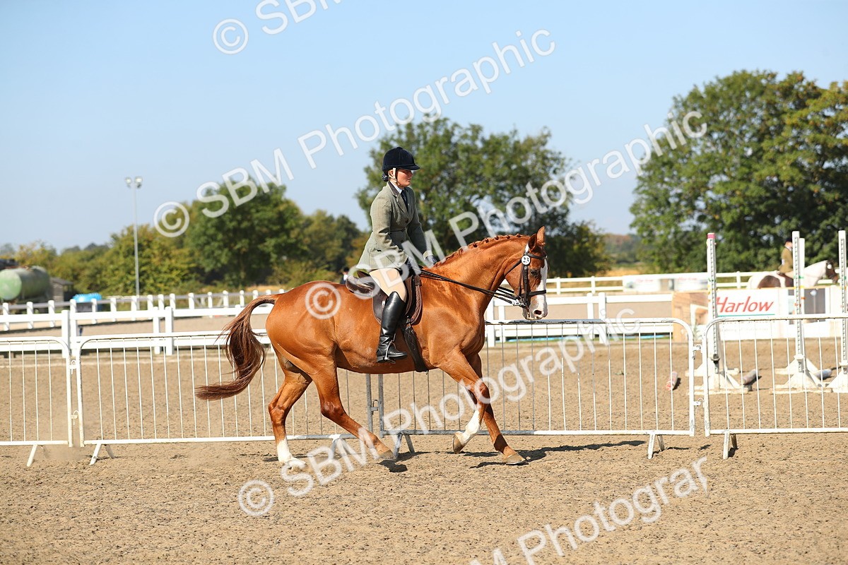 SBM_02220 - Class 43 Ridden Competition Horse/Pony