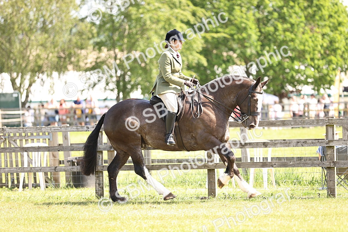 SBM_13710 - Class 77 - LIHS BSHA Rising Star Cobs
