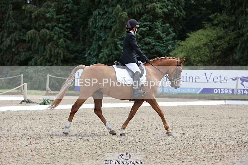 250718A-144949-02290 - 107-Beatrice.Coker-Brown-Portia.the.Fawn