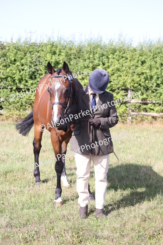 20260906-0701 - Class 22 - Ex Racehorse