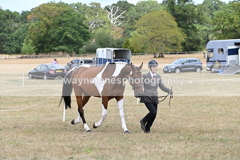 WJ6_5988 - Class 19 In-hand Veterans (Uploaded correct folder)