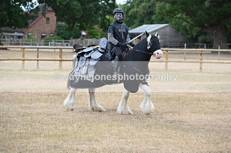 WJ6_8853 - Class 11 Fancy Dress