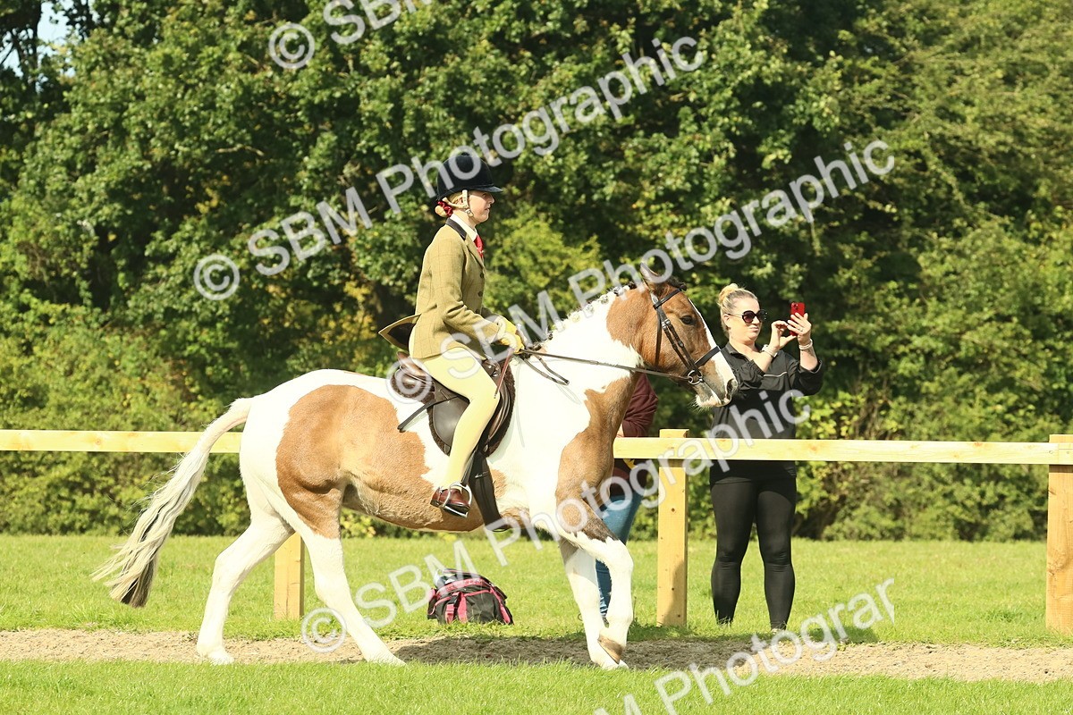 SBM_67445 - S56 - Coloured Pony Ridden