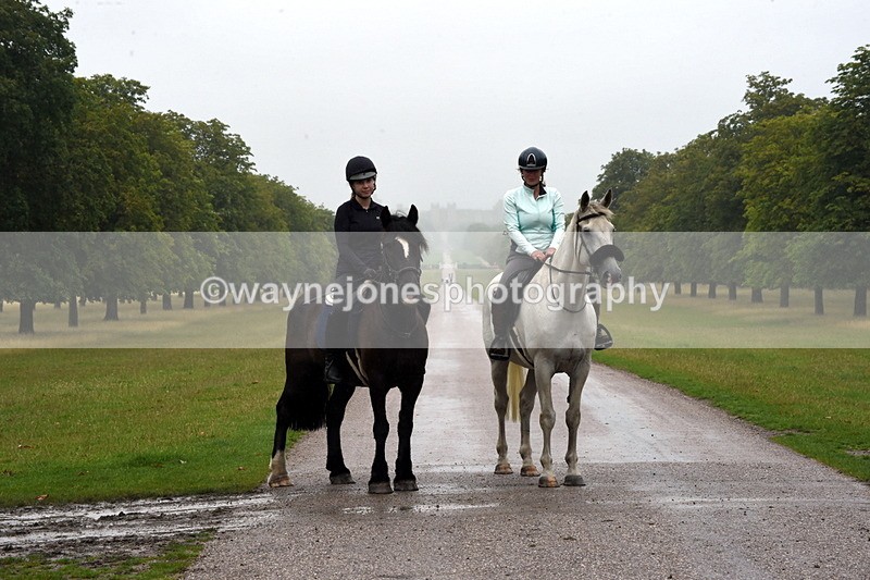 TT3_8370 - Time at Crossing 10:16 to 11:38