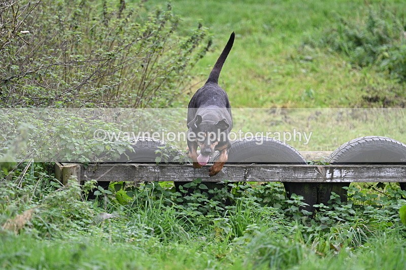 WJ7_8954 - Camera 1 only on this line