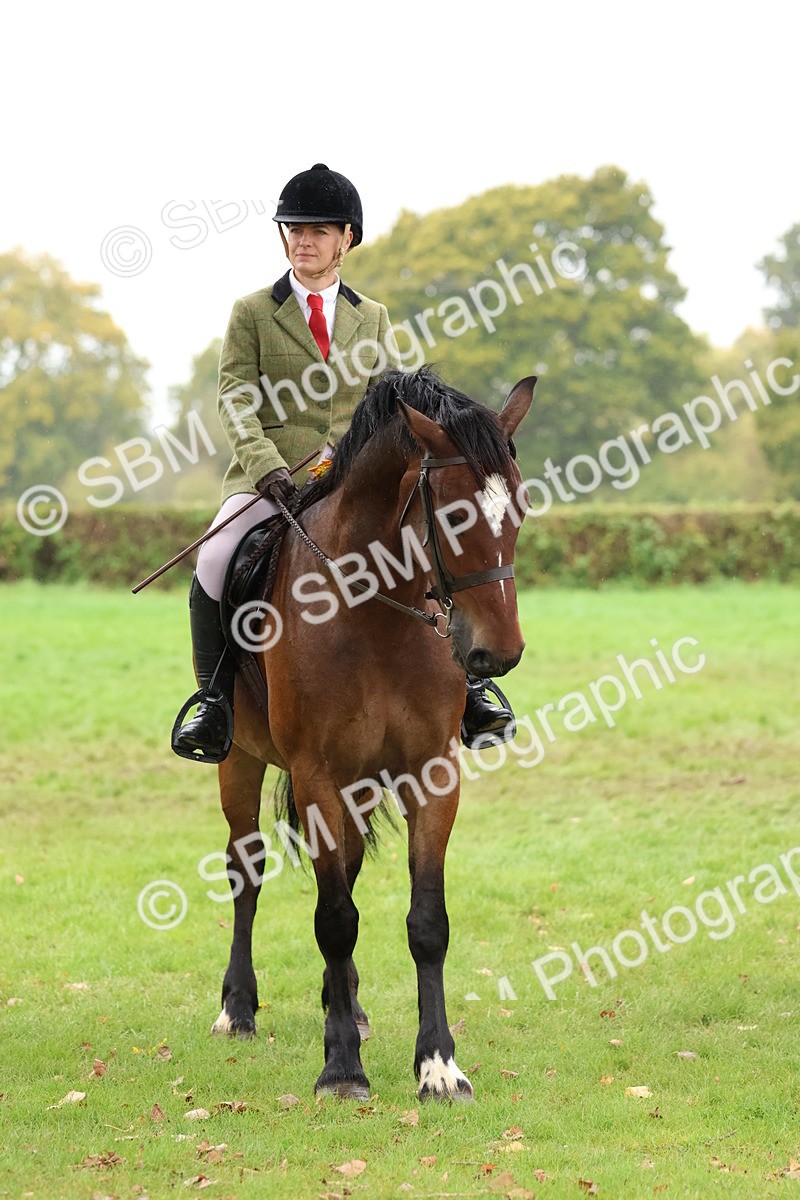 SBM_69758 - S62 - Mountain & Moorland Ridden Large Breeds