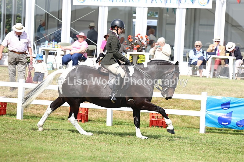 3E7A9714 - Class 5: Rising Star Lightweight/Heavyweight Cobs