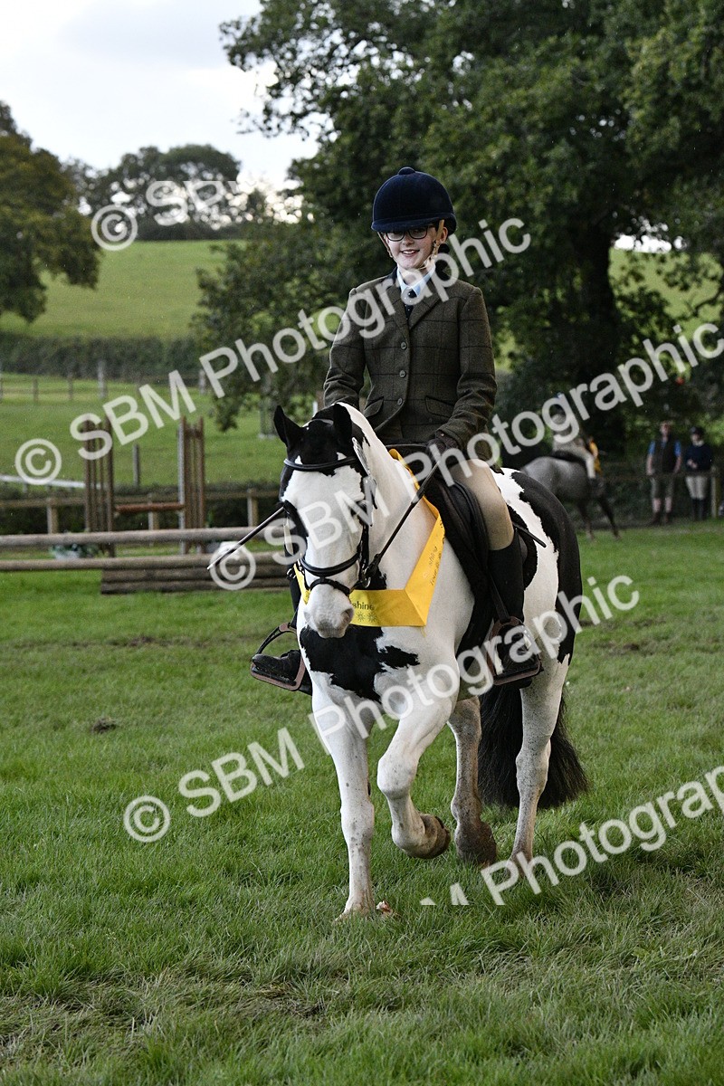 SBM_53320 - S14 - Riding Club Horse