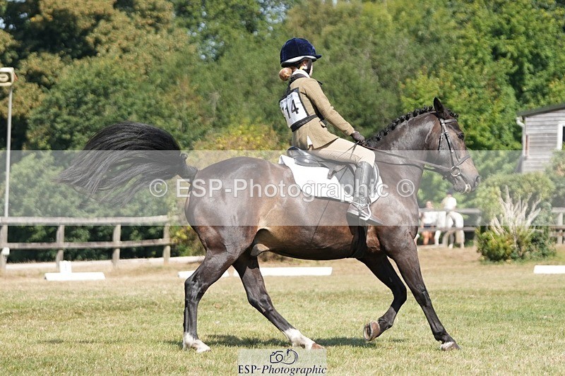 250823A-113837-28249 - Arena A