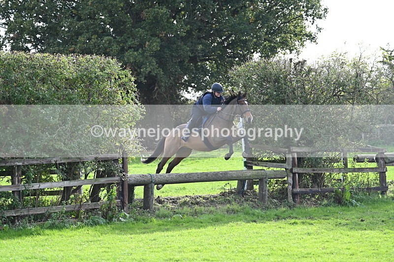 WJ7_0919 - Time 14:27 to 15:11