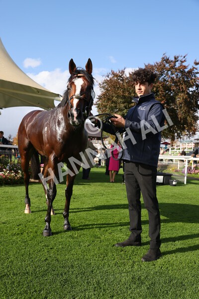 yr07102022r3-63 - Race 3 3.15pm British EBF £100,000 2yo Series Final (Colts and Geldings)