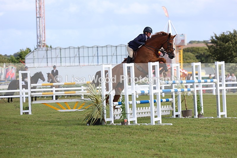 3E7A3505 - Class B: Showjumping Accumulator