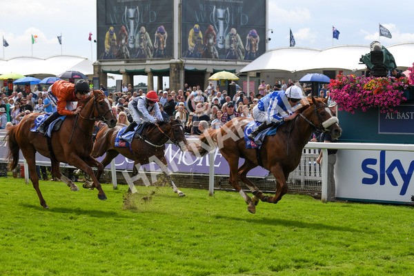 250823-Race 1-Marhaba The Champ-0136 - Race 1 1.50pm Sky Bet Handicap
