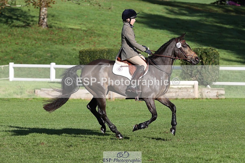 231022-102243-24492 - 629-DP.UK.DUN.SURPRISE-Isla.Kitson-TrotUp+SJ