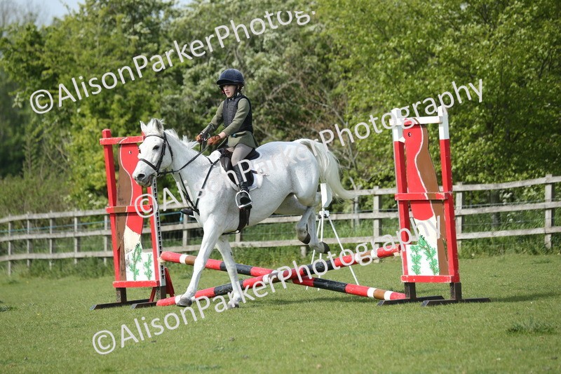 20260426-1526 - Class 14 - Novice 60cm