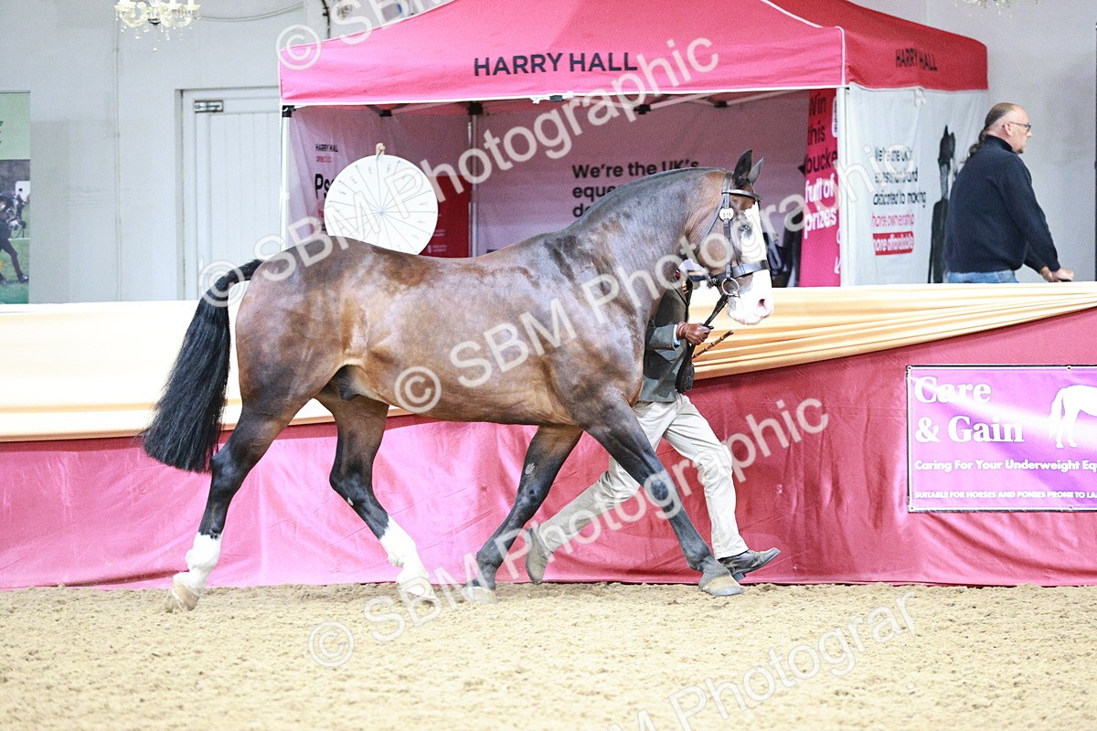 SBM_01165 - Class 3A - Area IH Pre-Vet