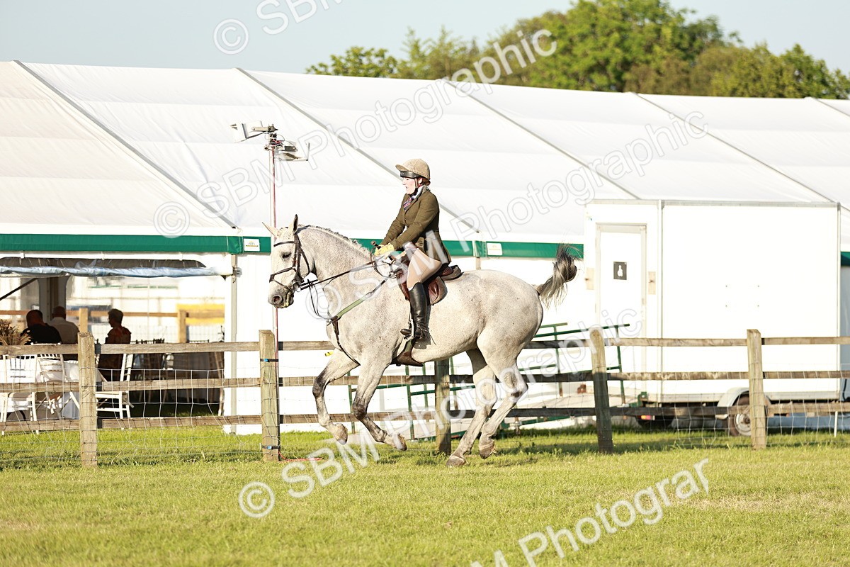 SBM_20480 - Class 117-119 - Sport Horse Working Hunter