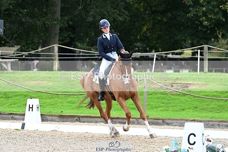 231019-130430-02932 - 049-AUGUSTUS.IMPERIOUS-Ines.Mitchell-DR