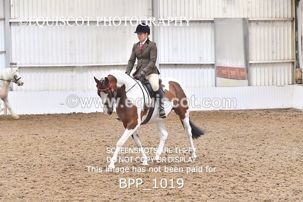 BPP_1019 - RING 2