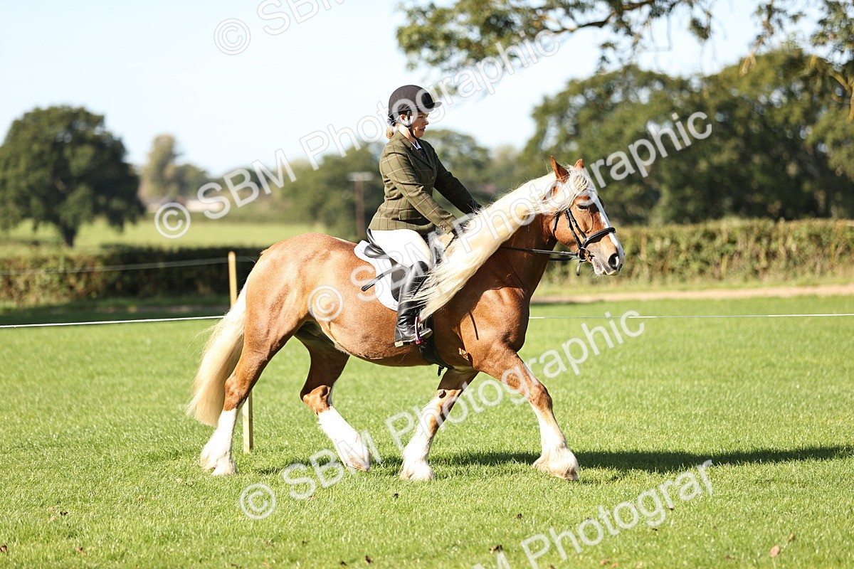 SBM_16909 - S2 - TSR Ridden Pony Showing