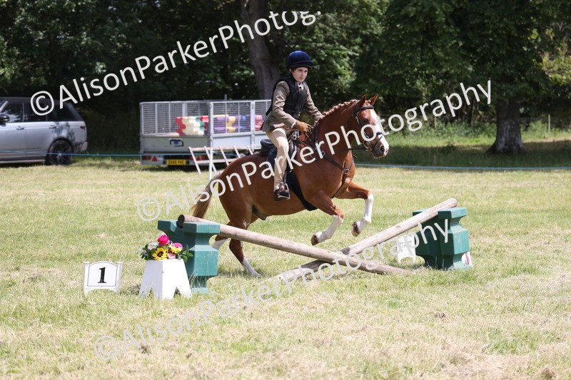 20260614-1922 - Class 21 - Novice Working Hunter Pony