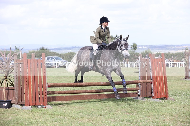 JPP_2589 - Class 20: Working Hunter 70cm