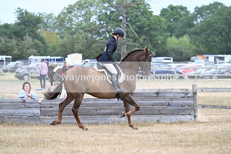 WJ7_0877 - Class 7 Riding Club Show Horse