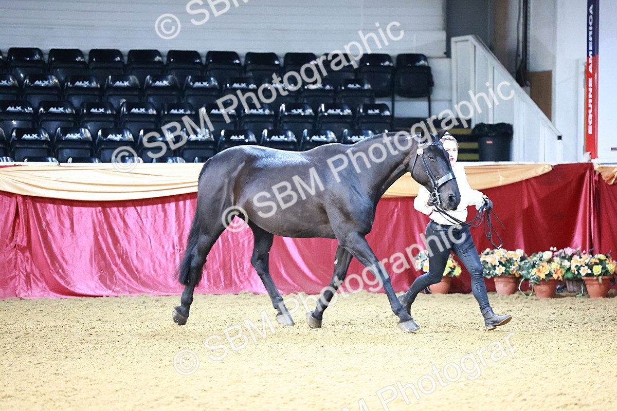 SBM_21681 - Class 901 - Supreme Final - IH  Diamond