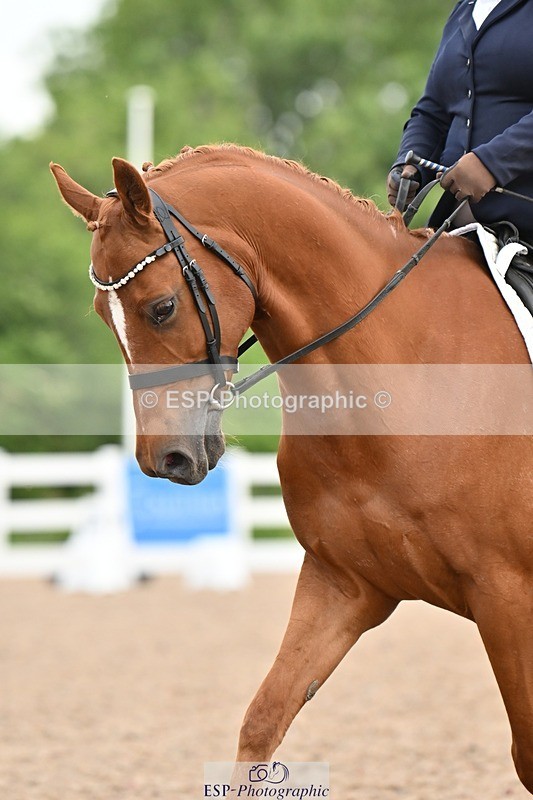 250620-090615-01479 - BD Cls 2 - Preliminary 6, Start to 9.50am