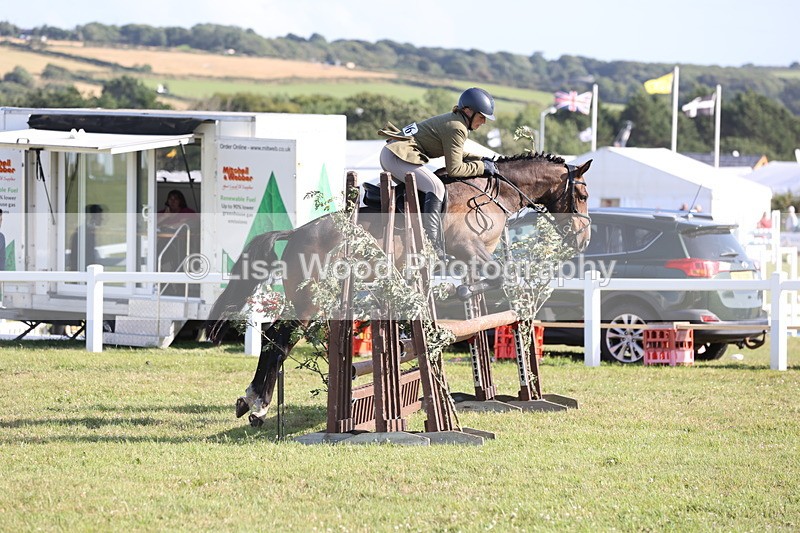 JPP_3154 - Class 21: Working Hunter 80cm