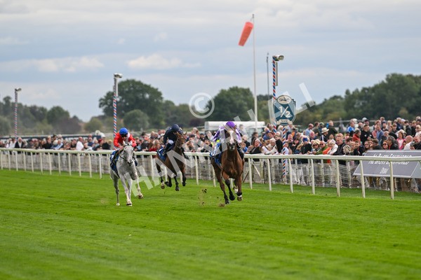 210825-Race 4-Minnie Hauk-4666 - Race 4 3.35pm Pertemps Network Yorkshire Oaks