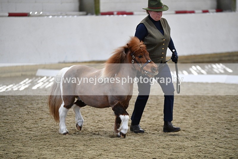 WJ5_4865 - Class 7 In hand coloured / odd coloured