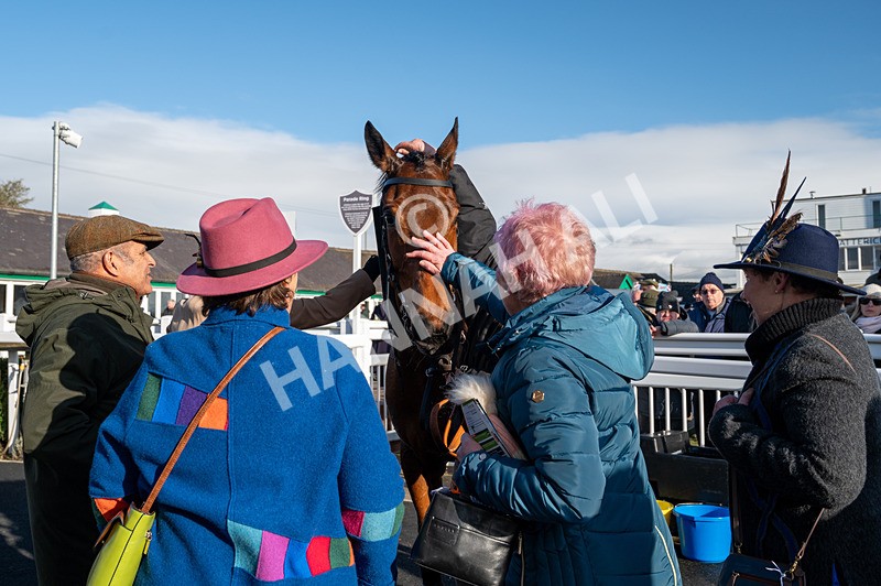 270224-Race 3-Chase A Fortune-6431 - Race 3