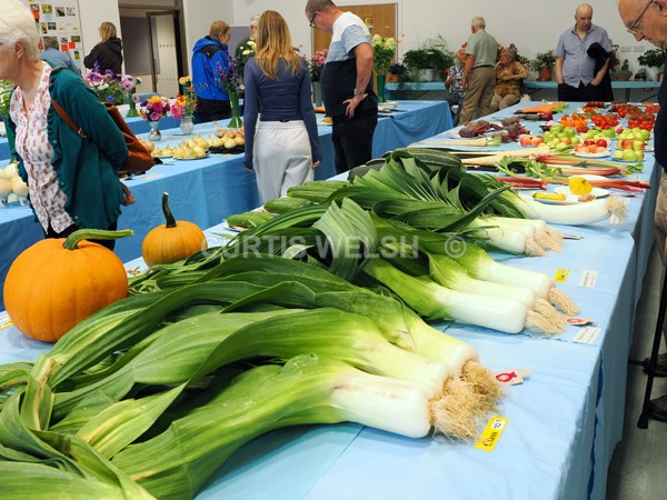 selected103 - EARLSTON FLOWER SHOW. 2025