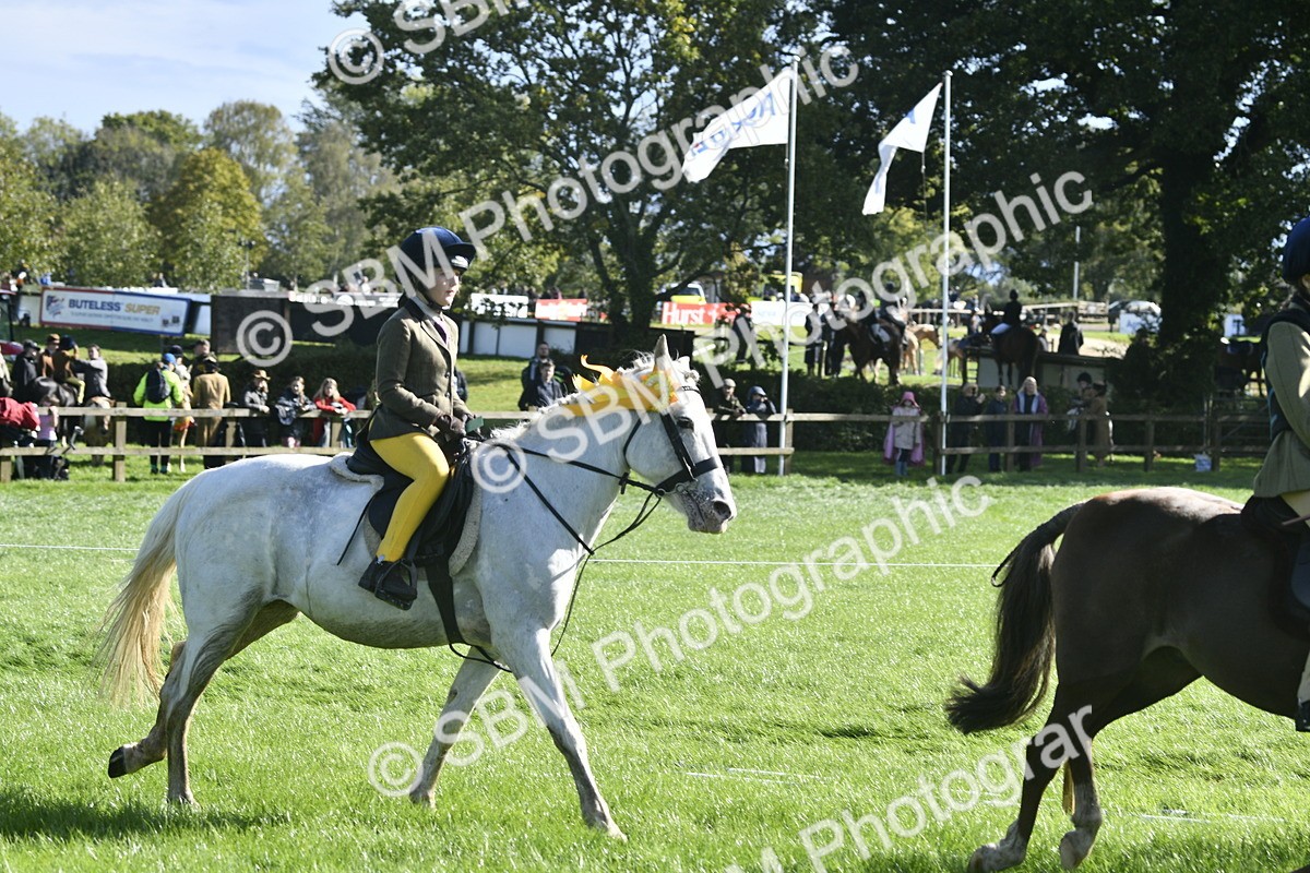 SBM_37262 - S31 - Novice & Newcomer Working Hunter Pony